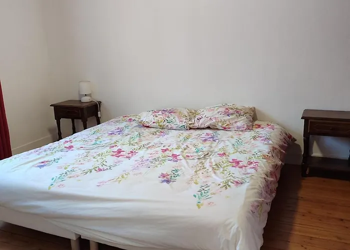 Entier - Centre - 67 Vanessa Fécamp